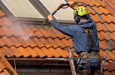 Démoussage et hydrofuge de toiture à Luzeret